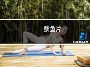 鲷鱼片