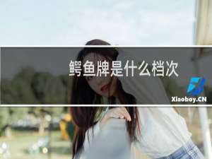 鳄鱼牌是什么档次（鳄鱼品牌什么档次）