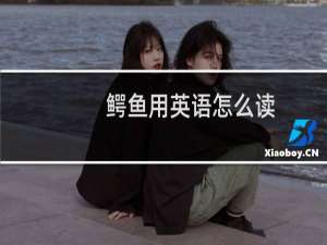 鳄鱼用英语怎么读