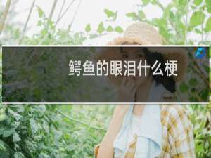 鳄鱼的眼泪什么梗