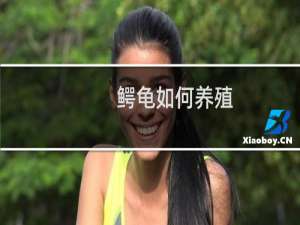 鳄龟如何养殖