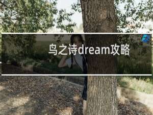 鸟之诗dream攻略