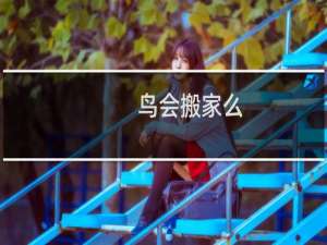 鸟会搬家么