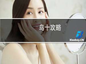 鸟十攻略