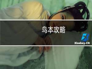 鸟本攻略