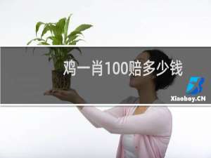 鸡一肖100赔多少钱