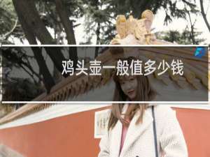 鸡头壶一般值多少钱