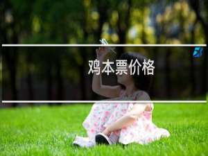 鸡本票价格