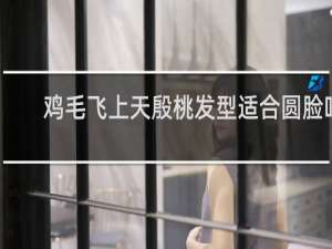 鸡毛飞上天殷桃发型适合圆脸吗