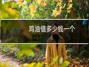 鸡油值多少钱一个