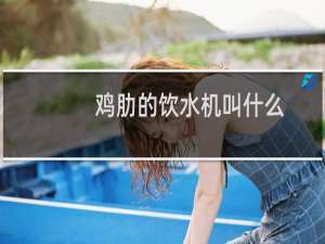 鸡肋的饮水机叫什么