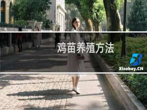 鸡苗养殖方法