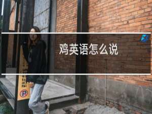 鸡英语怎么说