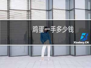 鸡蛋一手多少钱