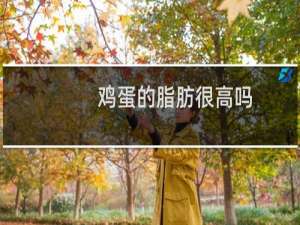鸡蛋的脂肪很高吗