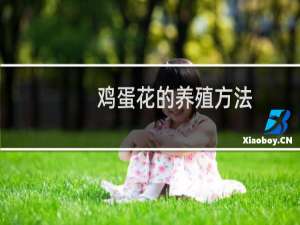 鸡蛋花的养殖方法