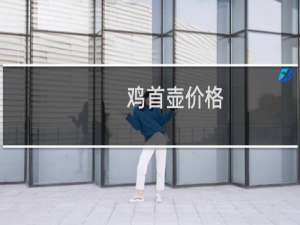 鸡首壶价格
