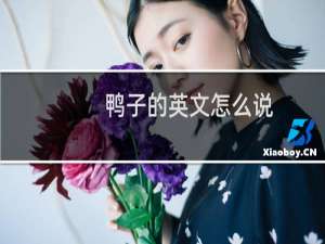 鸭子的英文怎么说