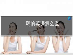 鸭的英语怎么说