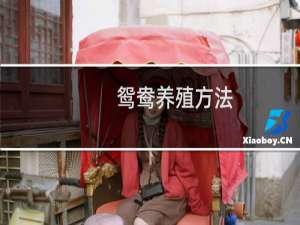 鸳鸯养殖方法