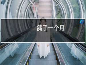 鸽子一个月