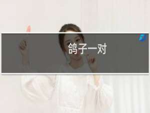 鸽子一对