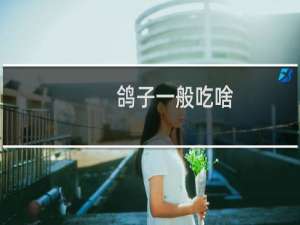 鸽子一般吃啥