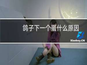 鸽子下一个蛋什么原因