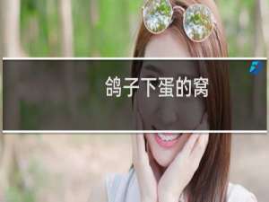 鸽子下蛋的窝