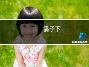 鸽子下