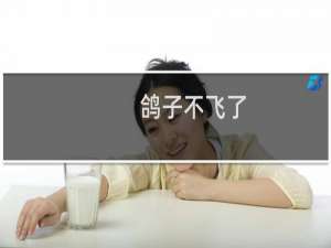 鸽子不飞了