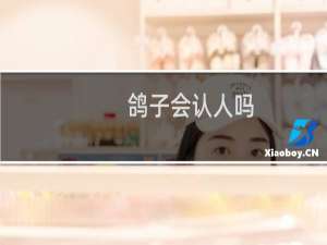 鸽子会认人吗