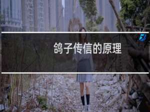鸽子传信的原理