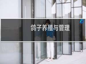 鸽子养殖与管理