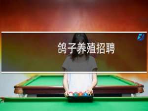 鸽子养殖招聘