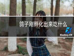 鸽子刚孵化出来吃什么