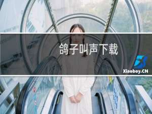 鸽子叫声下载