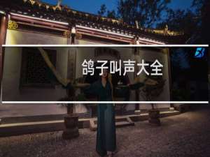 鸽子叫声大全
