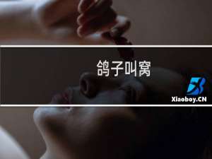 鸽子叫窝