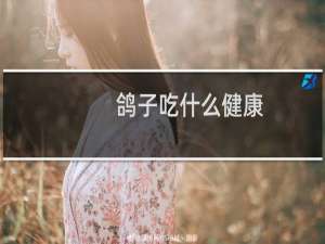 鸽子吃什么健康