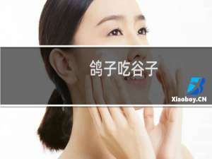 鸽子吃谷子