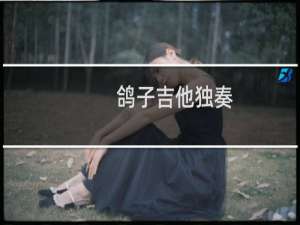 鸽子吉他独奏