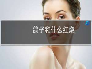 鸽子和什么红烧