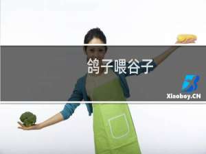 鸽子喂谷子
