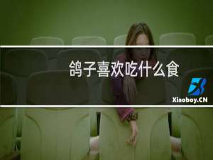 鸽子喜欢吃什么食