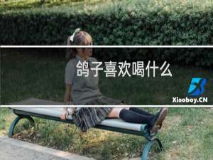 鸽子喜欢喝什么