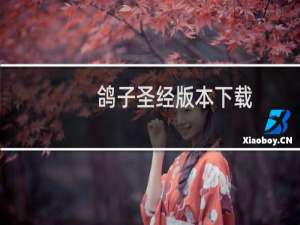 鸽子圣经版本下载