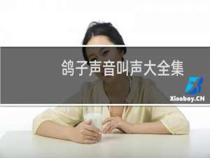 鸽子声音叫声大全集
