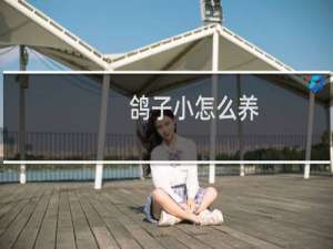 鸽子小怎么养