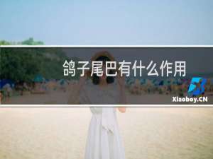 鸽子尾巴有什么作用